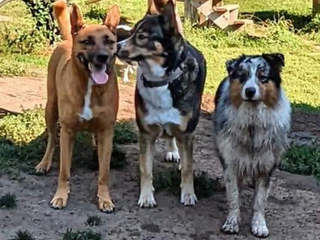 Screenshot_20221004-130305_2 (1).png