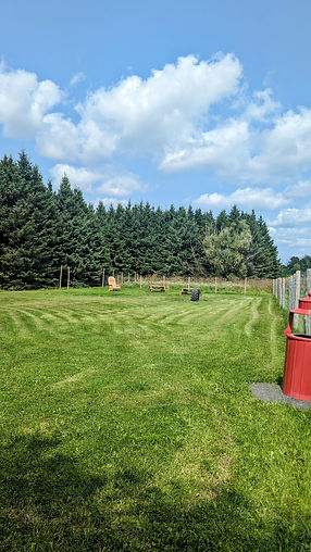 image of field part of dog park