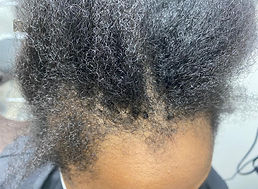 T Braids3.jpg