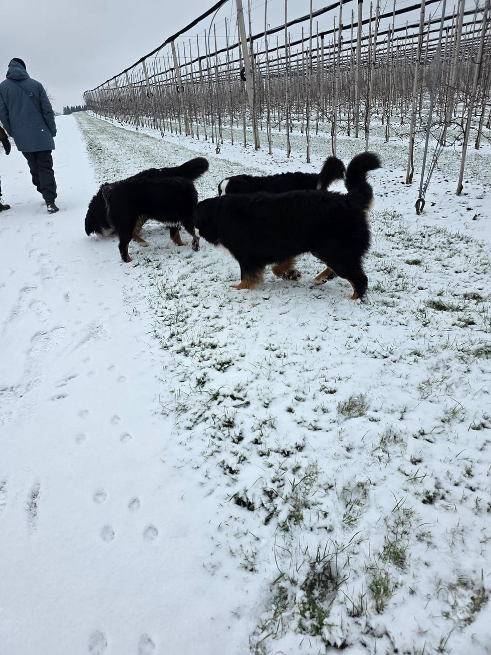 WhatsApp Image 2026-02-15 at 21.35.36 (5)