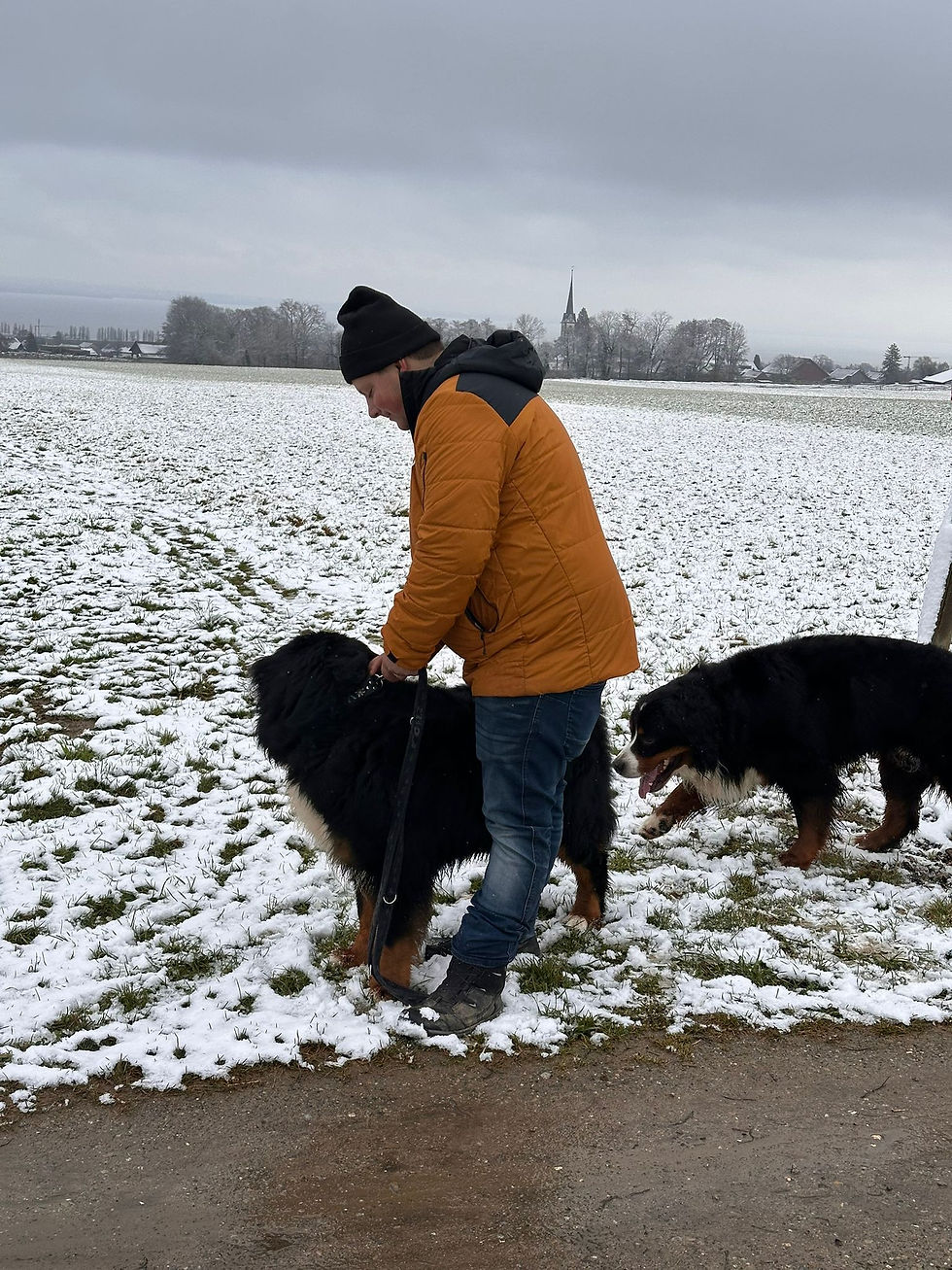 WhatsApp Image 2026-02-15 at 19.29.49