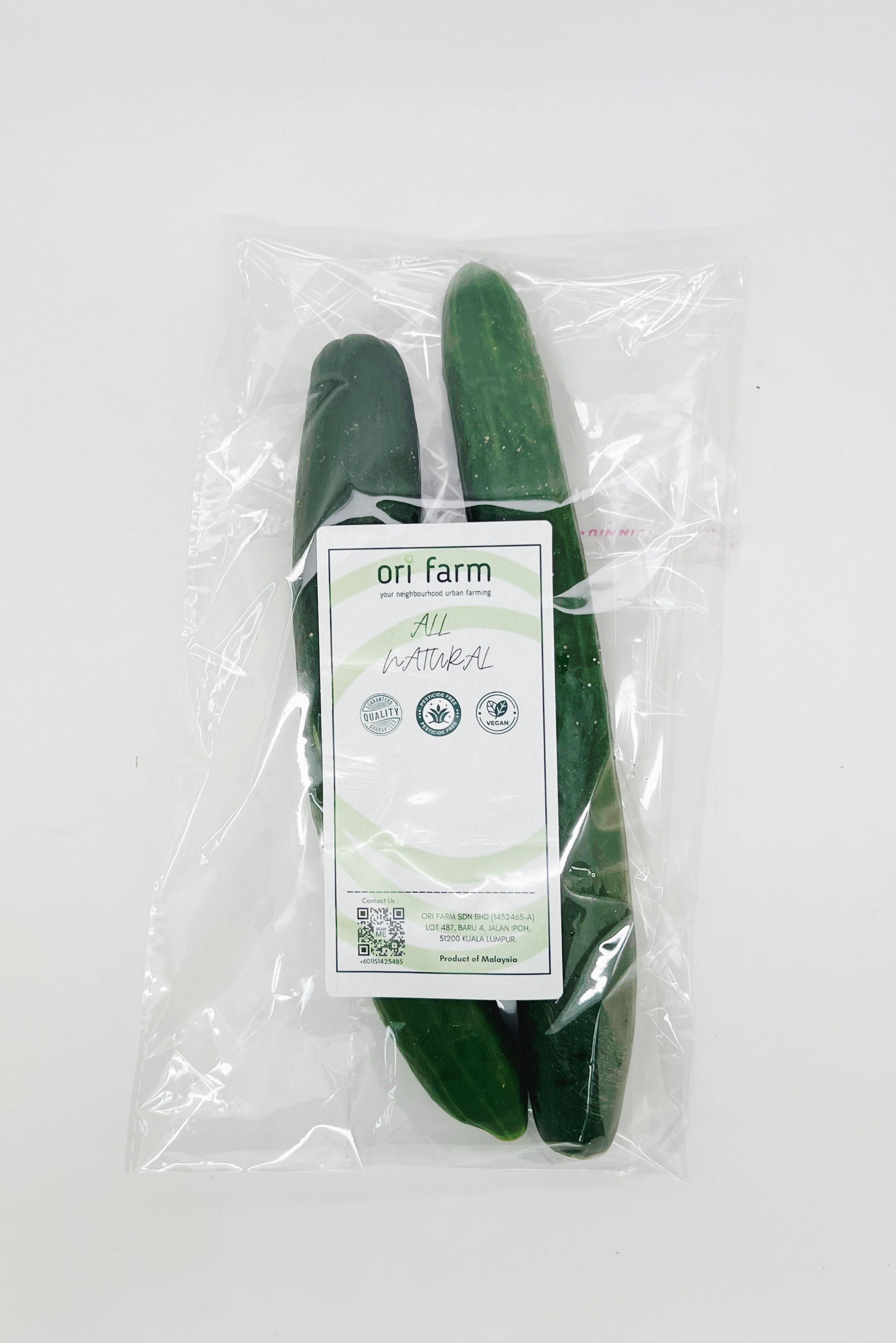 Japanese Cucumber 日本青瓜 450g