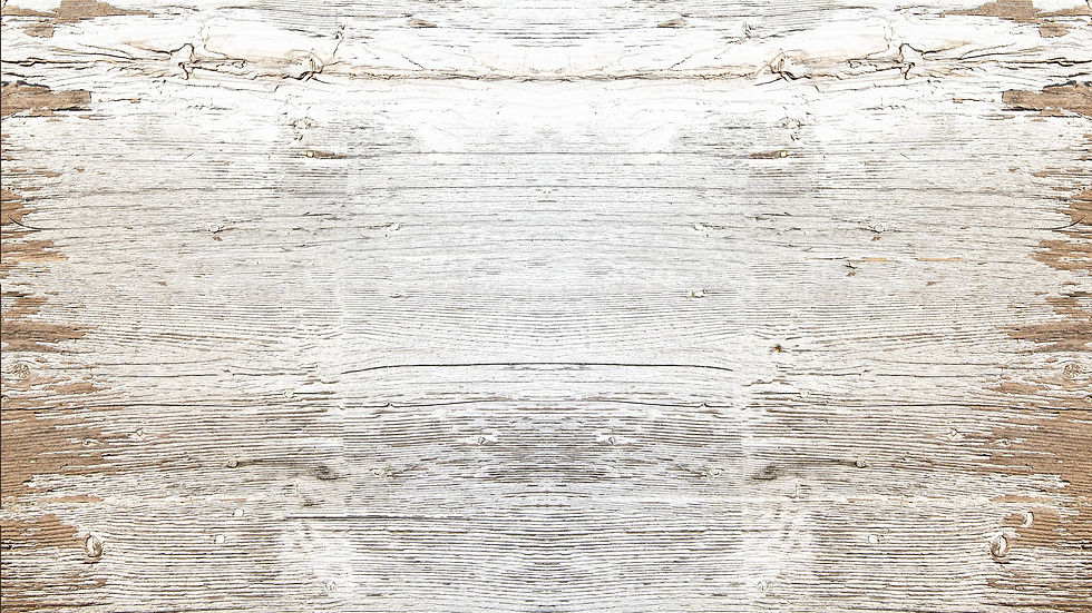 AdobeStock_296634746 (1).jpeg