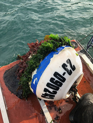 Northwest Mooring Services Puget Sound Washington