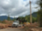 Chilton Logging