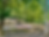 E6B84297-5008-4642-98C8-63CF2F55F00E.png