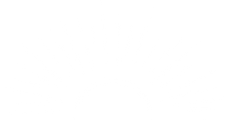 white sun logo