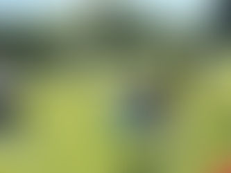 6月20日プレーパーク活動報告〜