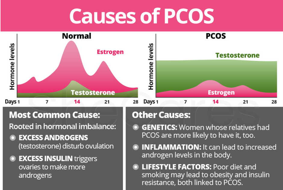 The Role of Lifestyle and Dietary Changes