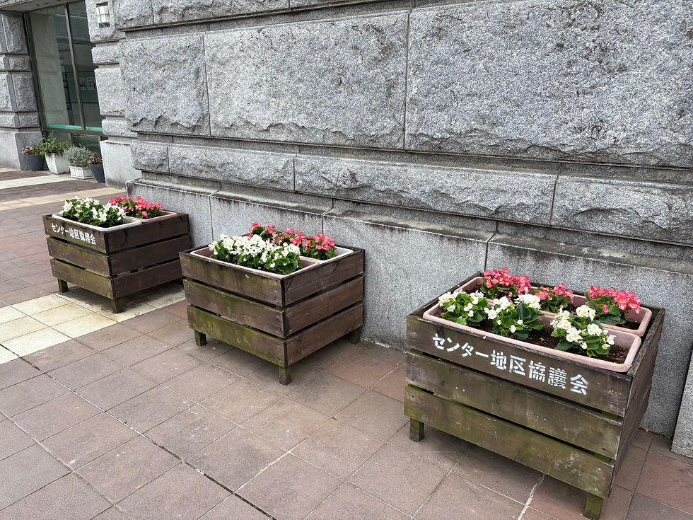 S__76693522.jpg