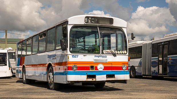 DSC_7259.jpg
