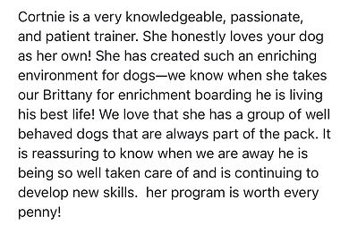 a review from a past client