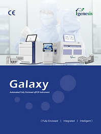 Galaxy