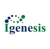 looping logo.jpg