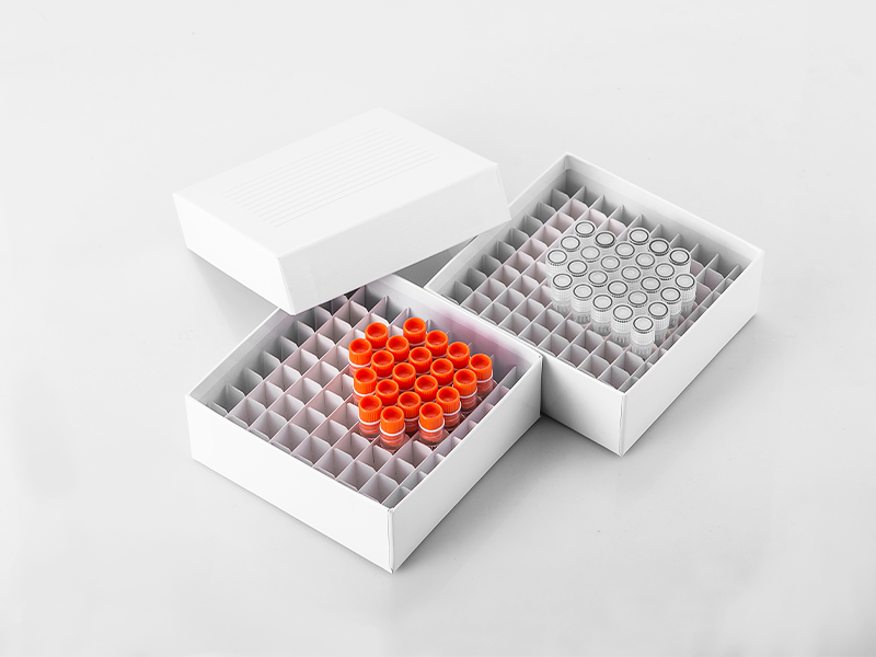 Freezer box 2