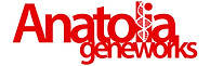 looping logo-10.jpg