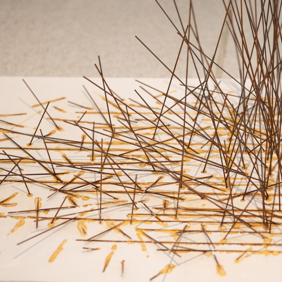 Darina Molatová art installation at the National Gallery Prague, NGP