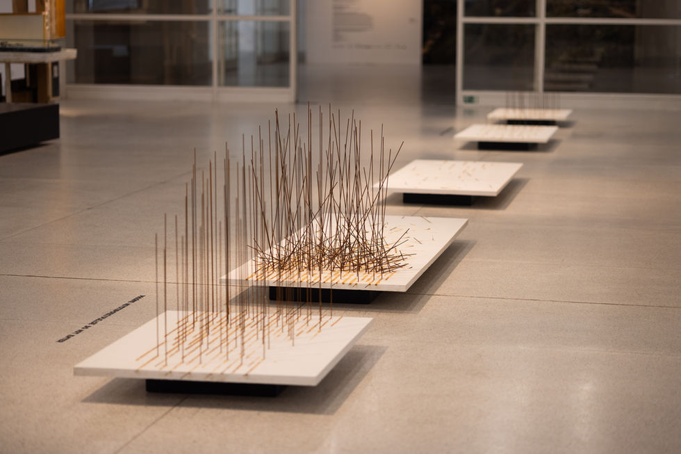 Darina Molatová art installation at the National Gallery Prague, NGP