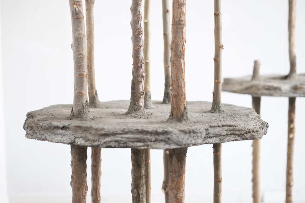 Darina Molatová art