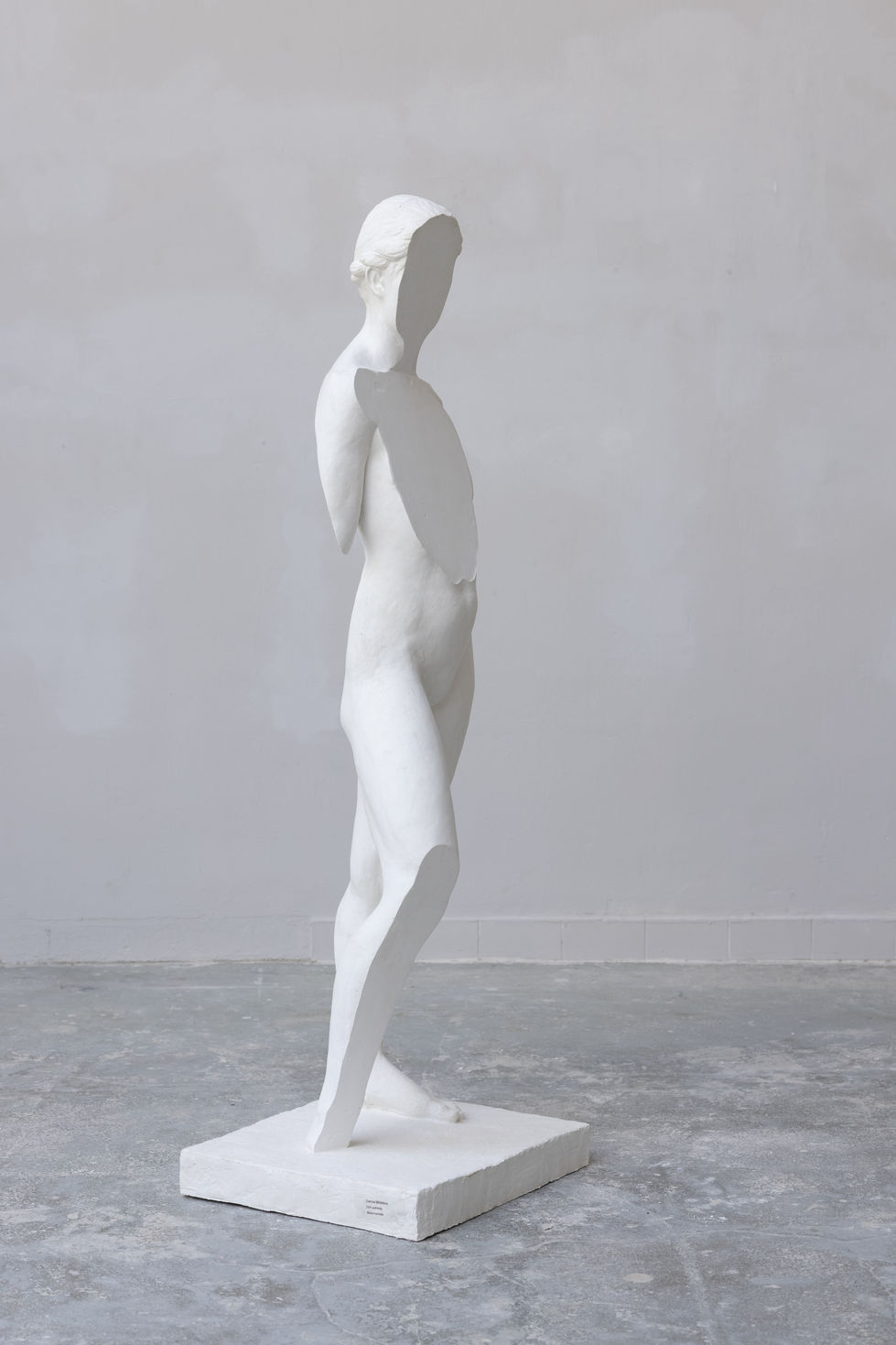 Darina Molatová art