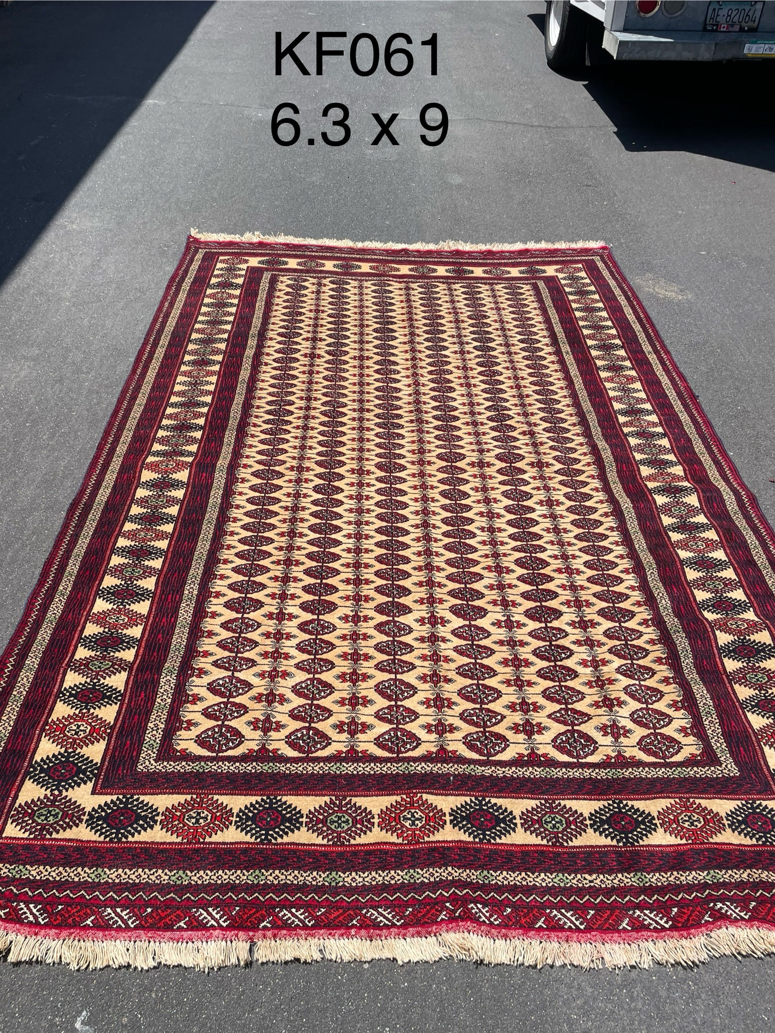 Turkmen - Red Beige Rug — 6'3" x 9'0"