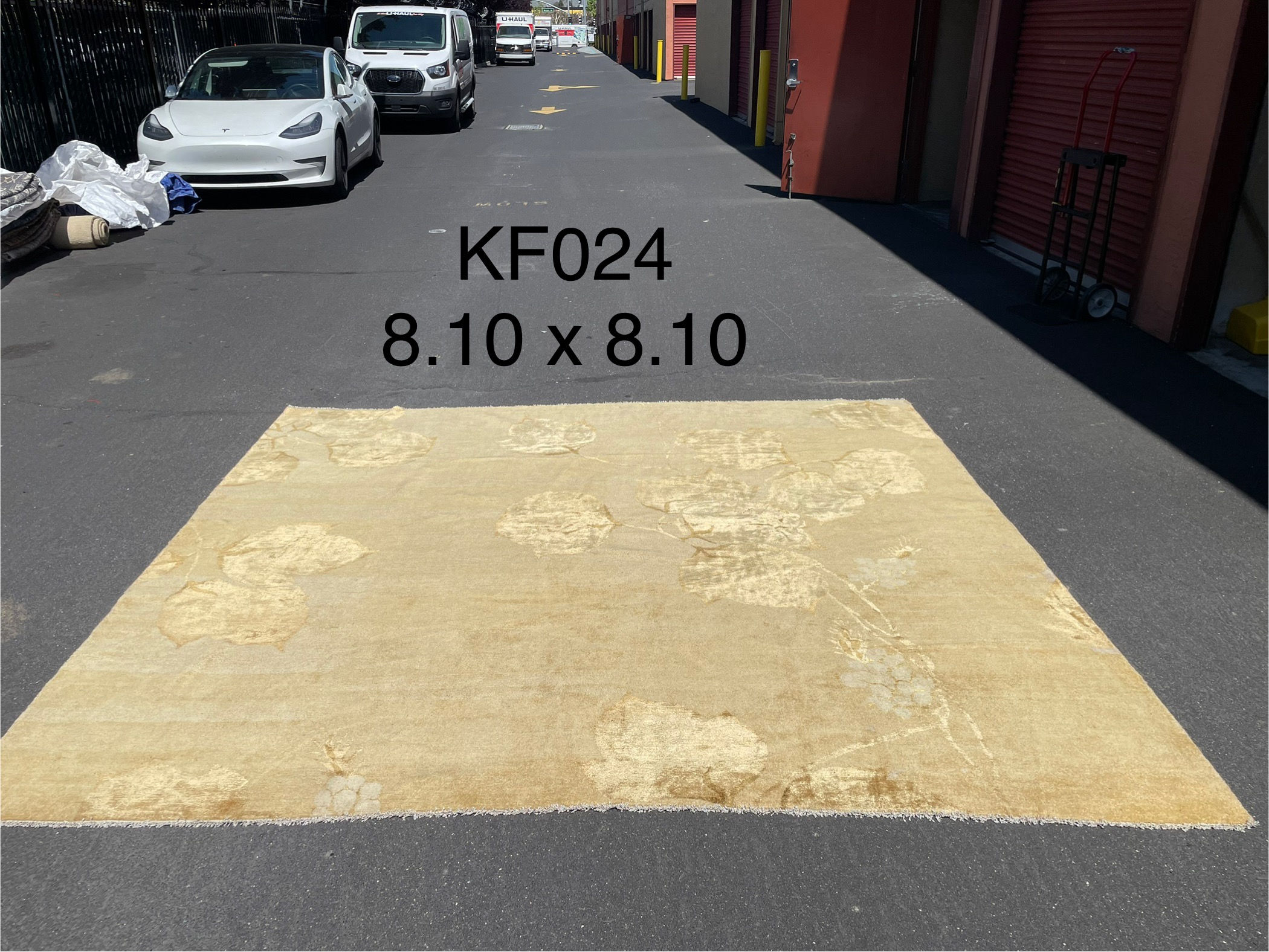 Gabbe- gold Rug — 8'10" x 8'10"