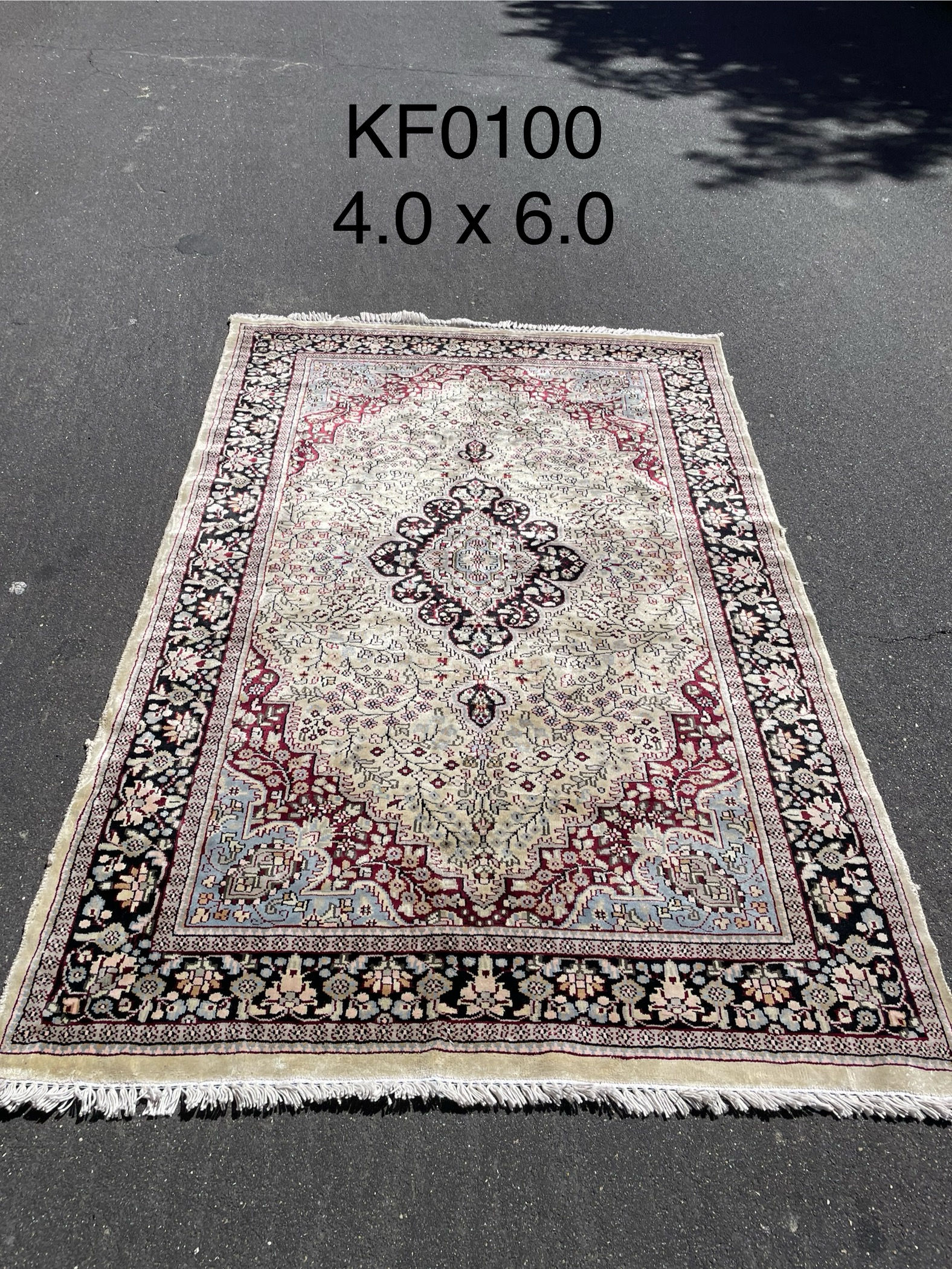Kashmir Kashan - Beige Red Rug — 4'0" x 6'0"