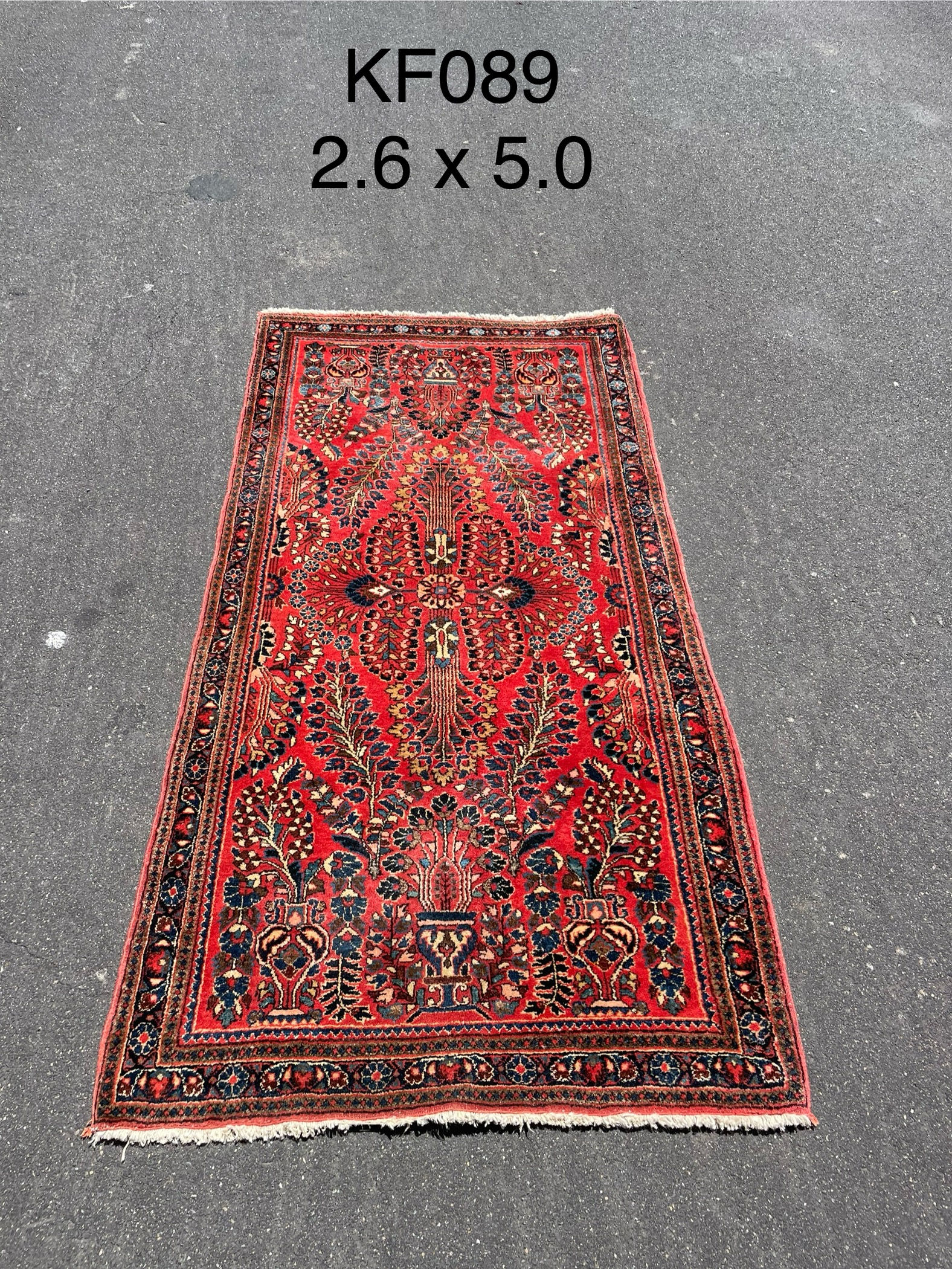 Sarouq - Pink Rug — 2'6" x 5'0"