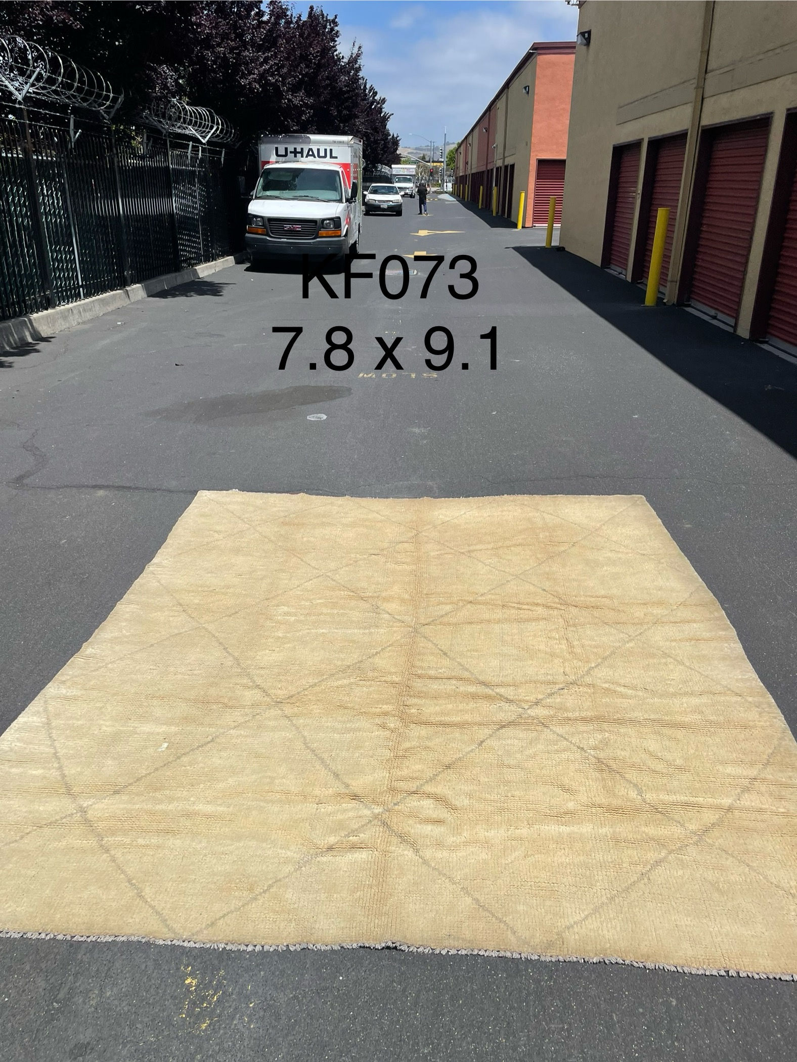 Gabbe Iranian Rug — 9'0" x 7'8"