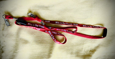 lanyards.JPG