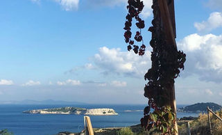 permakultur furma ekolojik yasam