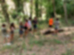 CAMP DE TREBALL