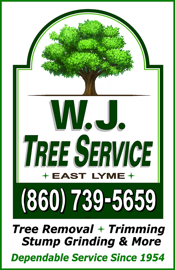 WJ Tree Ad 5.5 x 8.5.png