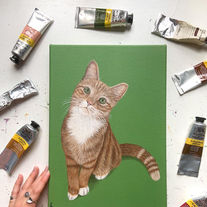 pet portrait artist Lucy kay -  Ginger cat pet portrait