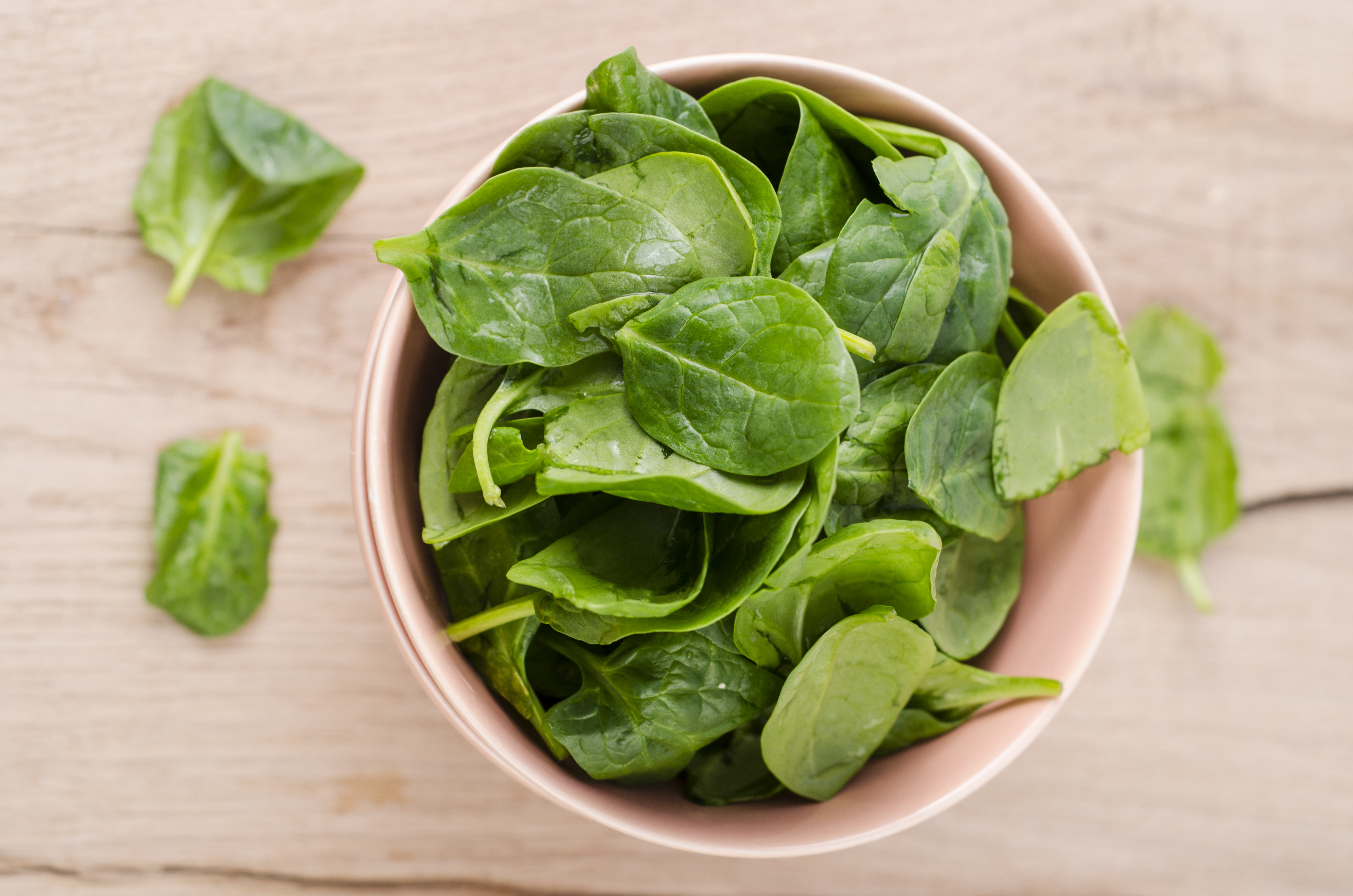 Fresh Salad