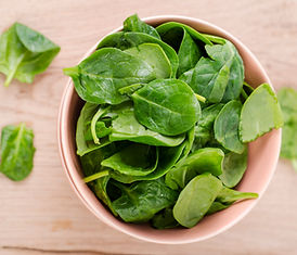 Fresh Salad