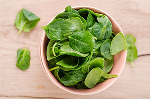Fresh Salad