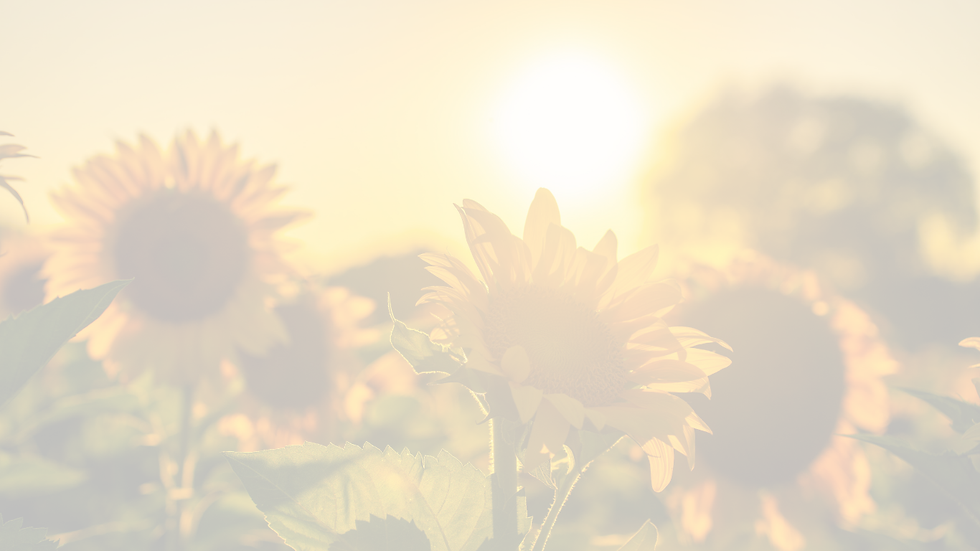Untitled design (68).png