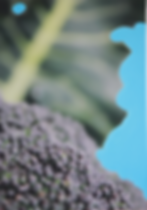 Vege blue