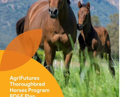AgriFutures Thoroughbred Horses Program Open Call