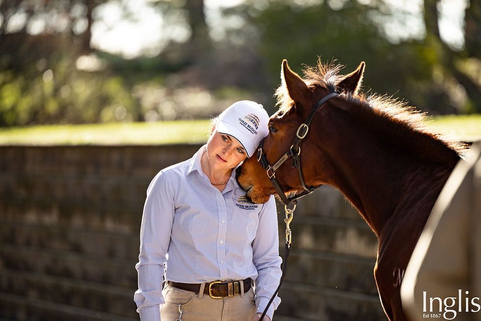 Inglis Great Southern Weanling Sale Preview