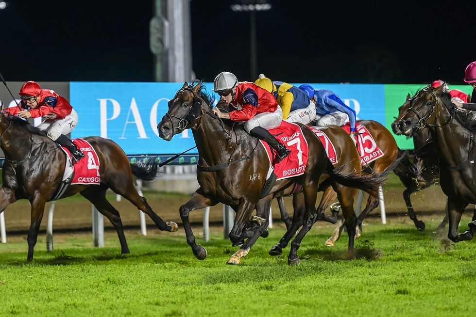 Bosustow (Image: Magic Millions)