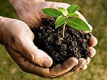 sustentabilidade e resiliencia_imagem3.jpg