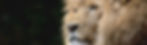 Photographer General LinkedIn Banner-10