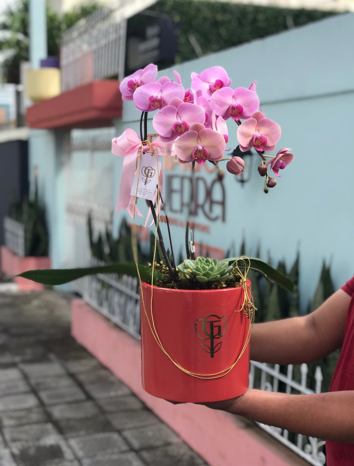 Orquídea Cascata Duas Hastes em vaso artesanal