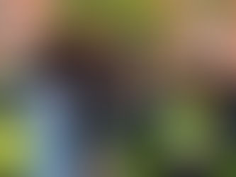 Kijk hoe ON!-verslaggever en zijn cameraman worden aangevallen door ‘barbaren’: ‘Politie gaf ons de schuld’