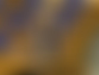 Motie aangenomen die regering verzoekt uitstel te vragen voor stemming over WHO-pandemieverdrag