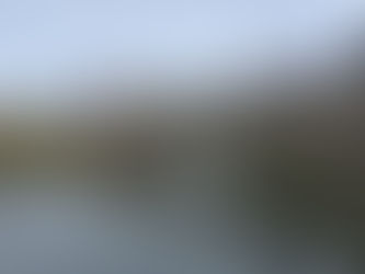 ‘Het tij keert, de overheid raakt de grip kwijt! Gaan we toch een revolutie krijgen?’