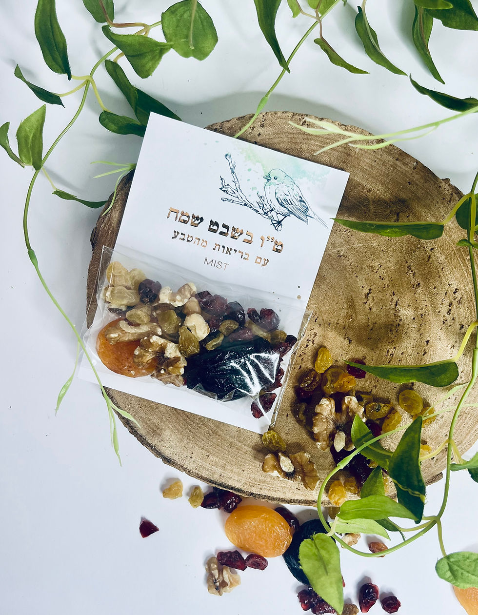 תמונה ממוזערת: סדר ט"ו בשבט עם פינוק