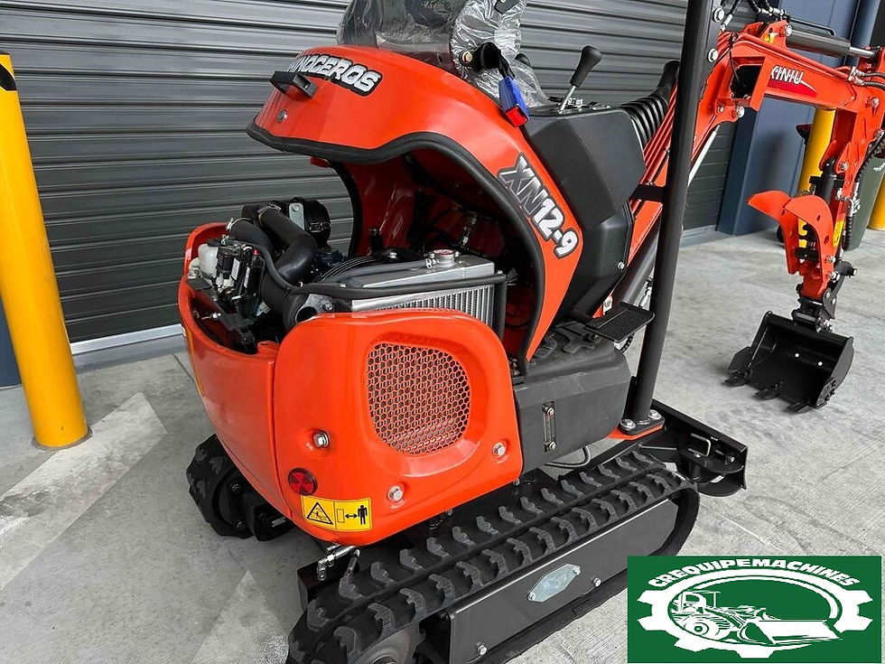 Miniature : RHINOCEROS XN12-9